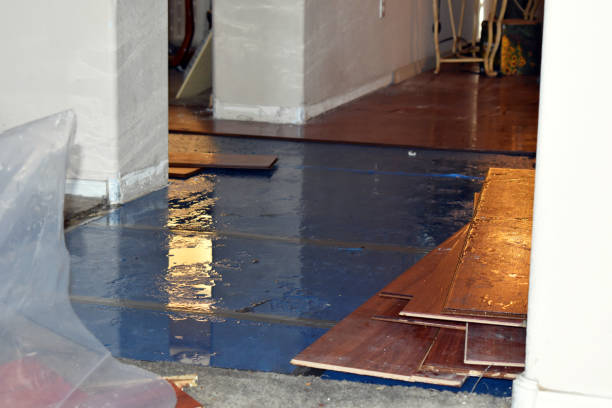 Professional Flood Cleanup technician working in Portland, MO